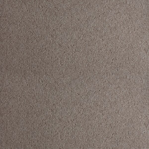 REG 7342 Sandblasted