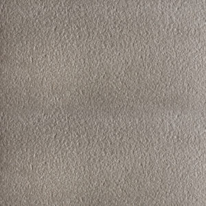 REG 7342 Brushed